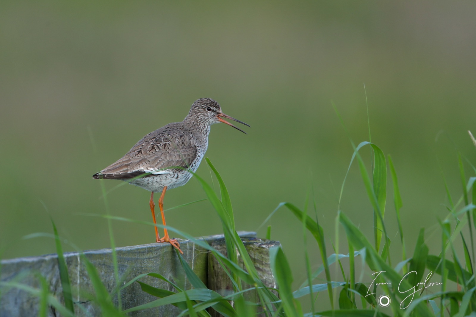 1DX46672 09 juni 2022 0745 30